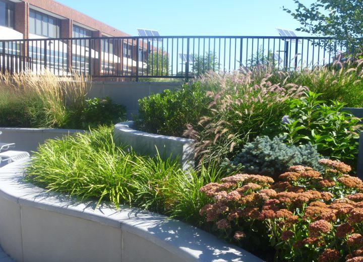 Green Roof - IGCC Green Construction Code Cover