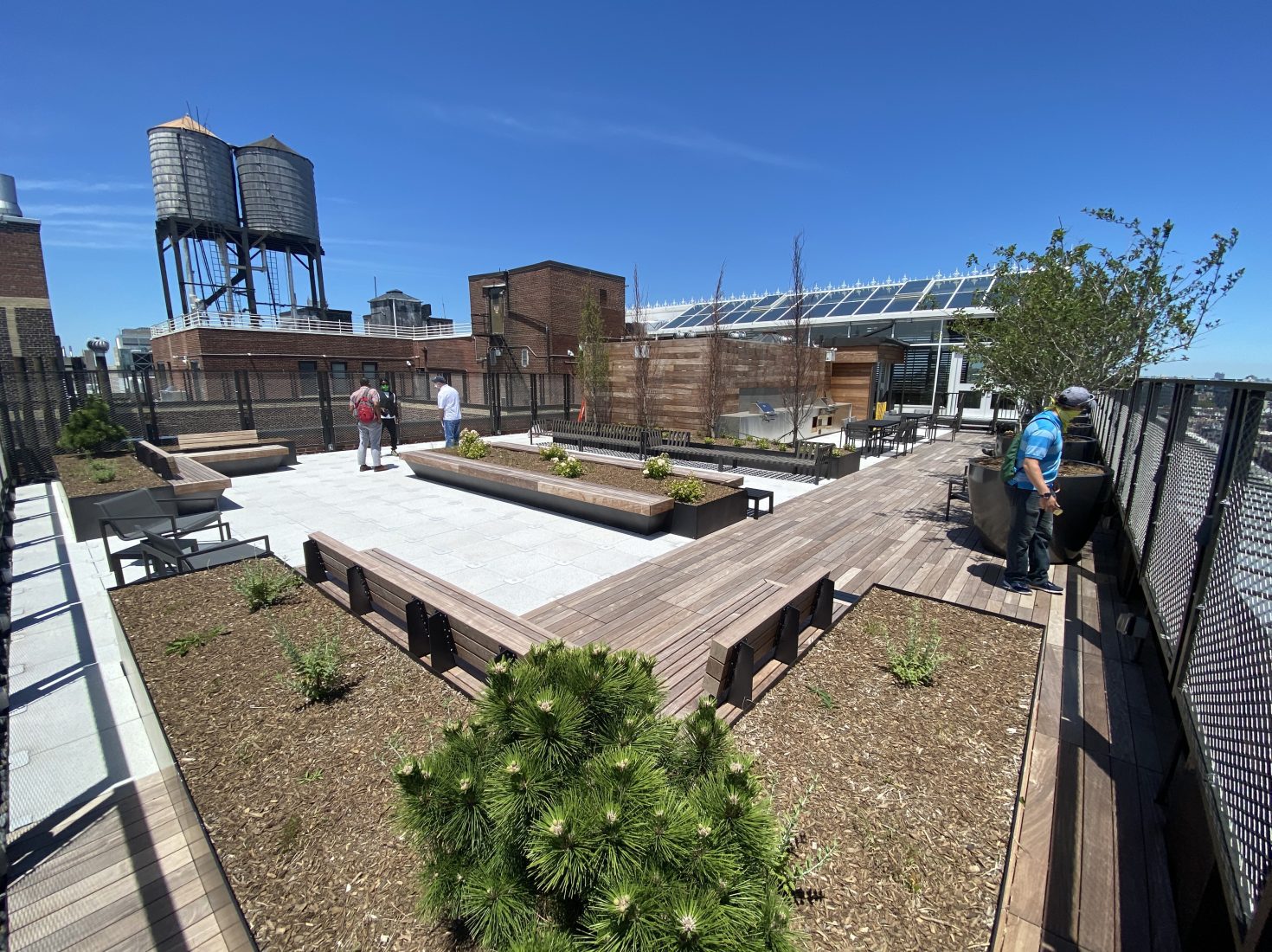 Vegetated roof terrace in New York City